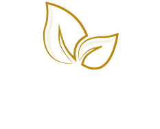 adblue-prestation-a-bord